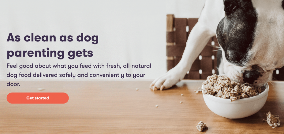 Pet affiliate programs. Ollie home page